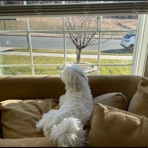 Meet your Posher, Keiko